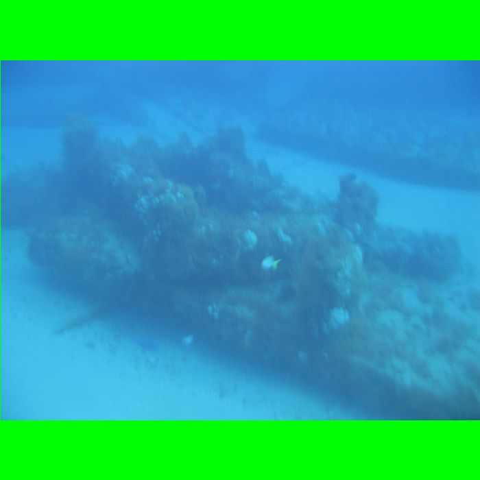 Dive WP Wrecks 25-Oct-09_426.JPG